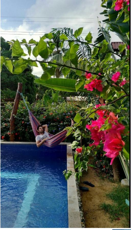 Tribe Hotel ปาโลมิโน ภายนอก รูปภาพ